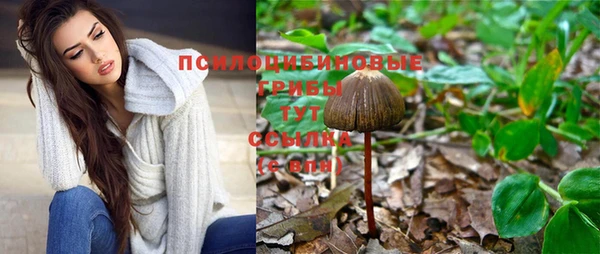 стаф Белоозёрский