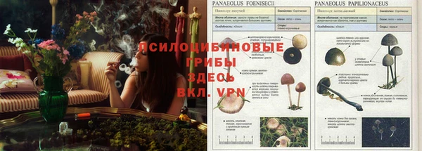 меф VHQ Беломорск
